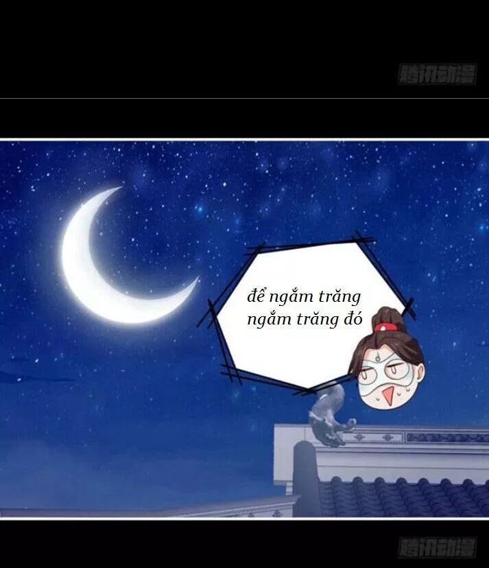 đọc truyện Tuyệt Sắc Quyến Rũ: Quỷ Y Chí Tôn Chương 100 ảnh 12 tại Thiên Thai Truyện