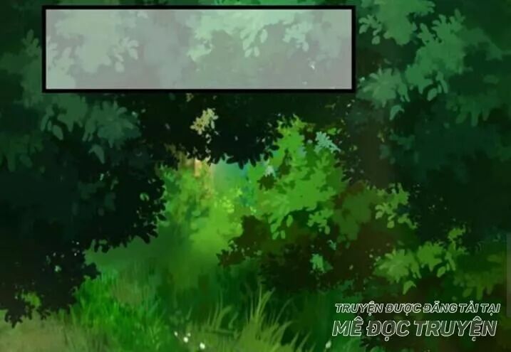 đọc truyện Tuyệt Sắc Quyến Rũ: Quỷ Y Chí Tôn Chương 115 ảnh 17 tại Thiên Thai Truyện