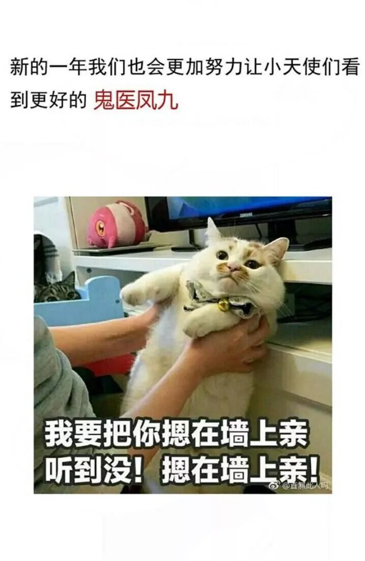 đọc truyện Tuyệt Sắc Quyến Rũ: Quỷ Y Chí Tôn Chương 115 ảnh 49 tại Thiên Thai Truyện