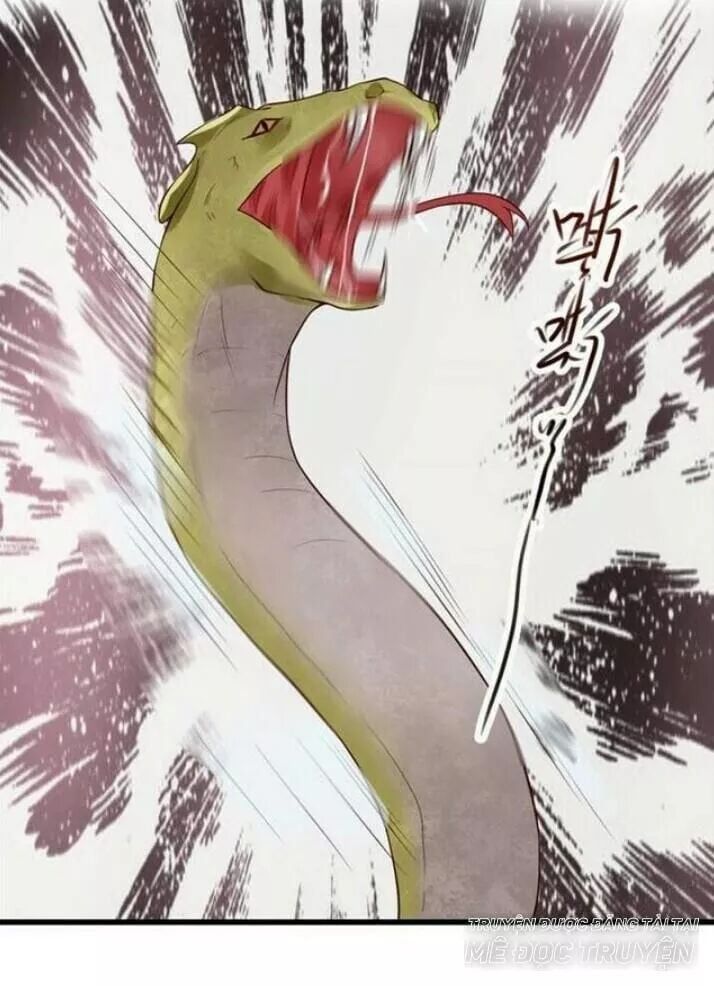 đọc truyện Tuyệt Sắc Quyến Rũ: Quỷ Y Chí Tôn Chương 118 ảnh 28 tại Thiên Thai Truyện