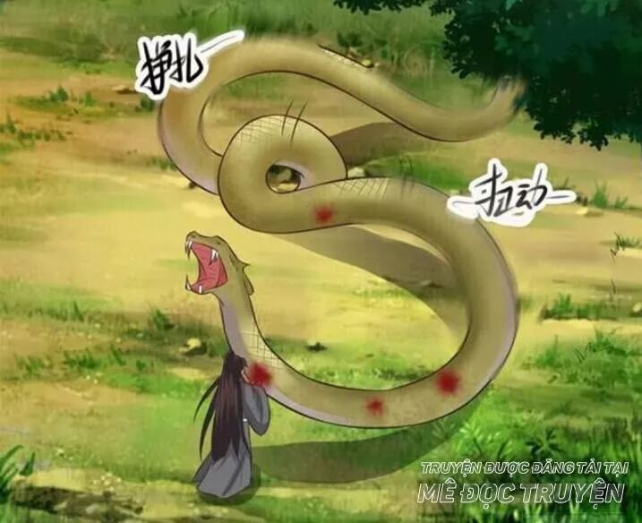 đọc truyện Tuyệt Sắc Quyến Rũ: Quỷ Y Chí Tôn Chương 119 ảnh 23 tại Thiên Thai Truyện