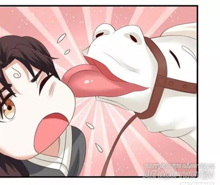 đọc truyện Tuyệt Sắc Quyến Rũ: Quỷ Y Chí Tôn Chương 122 ảnh 48 tại Thiên Thai Truyện