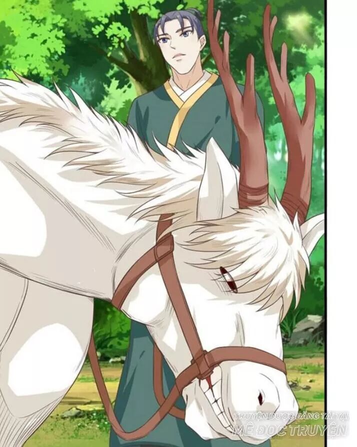 đọc truyện Tuyệt Sắc Quyến Rũ: Quỷ Y Chí Tôn Chương 123 ảnh 13 tại Thiên Thai Truyện