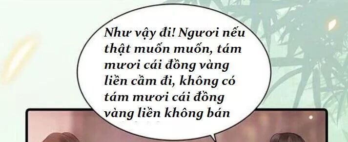 đọc truyện Tuyệt Sắc Quyến Rũ: Quỷ Y Chí Tôn Chương 125 ảnh 31 tại Thiên Thai Truyện