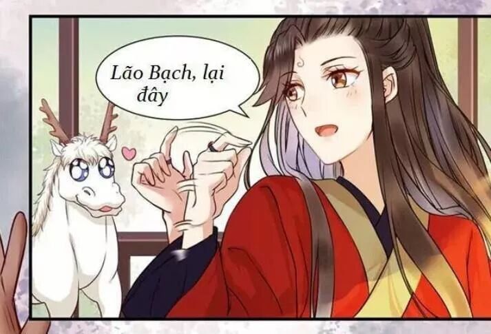 đọc truyện Tuyệt Sắc Quyến Rũ: Quỷ Y Chí Tôn Chương 128 ảnh 49 tại Thiên Thai Truyện