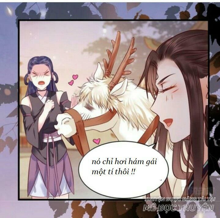 đọc truyện Tuyệt Sắc Quyến Rũ: Quỷ Y Chí Tôn Chương 136 ảnh 13 tại Thiên Thai Truyện