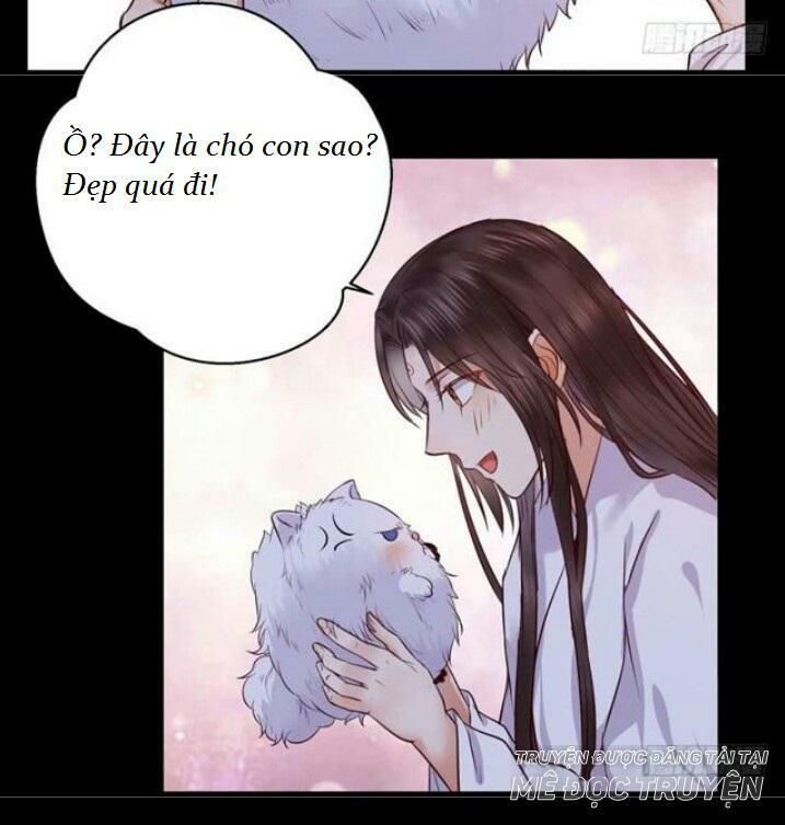 đọc truyện Tuyệt Sắc Quyến Rũ: Quỷ Y Chí Tôn Chương 137 ảnh 53 tại Thiên Thai Truyện