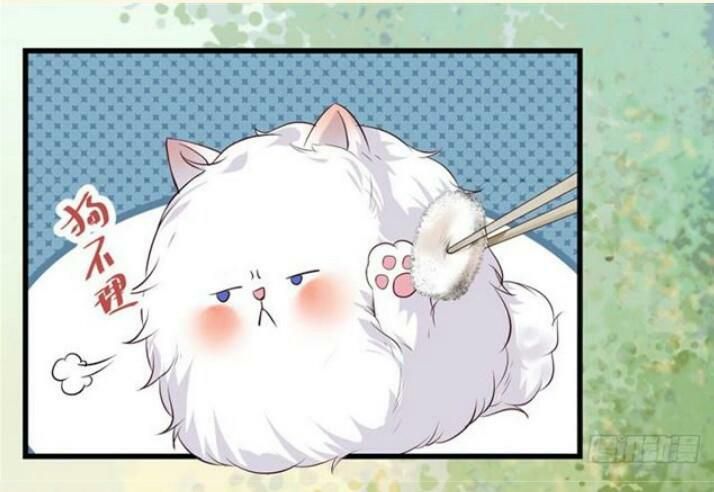 đọc truyện Tuyệt Sắc Quyến Rũ: Quỷ Y Chí Tôn Chương 137 ảnh 62 tại Thiên Thai Truyện