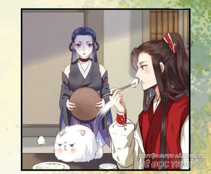 đọc truyện Tuyệt Sắc Quyến Rũ: Quỷ Y Chí Tôn Chương 137 ảnh 63 tại Thiên Thai Truyện