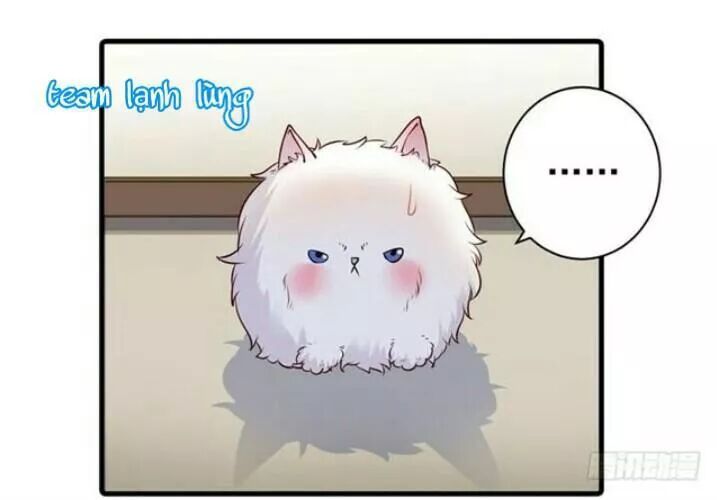 đọc truyện Tuyệt Sắc Quyến Rũ: Quỷ Y Chí Tôn Chương 138.1 ảnh 20 tại Thiên Thai Truyện