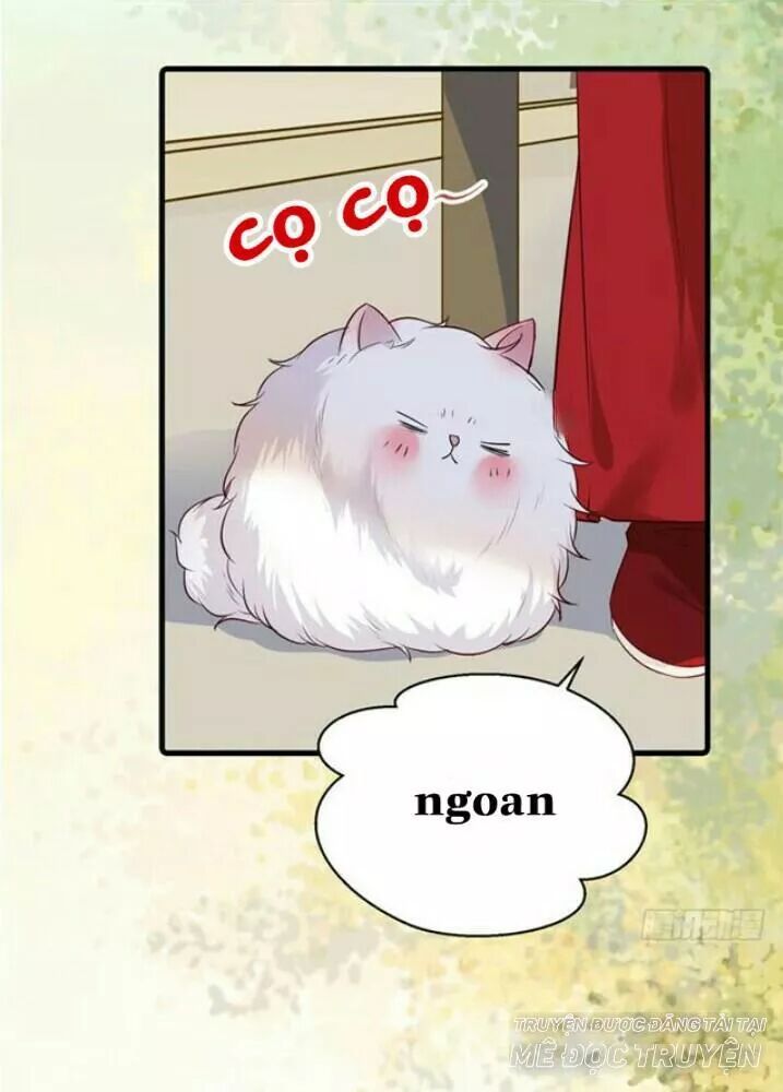 đọc truyện Tuyệt Sắc Quyến Rũ: Quỷ Y Chí Tôn Chương 138.1 ảnh 23 tại Thiên Thai Truyện