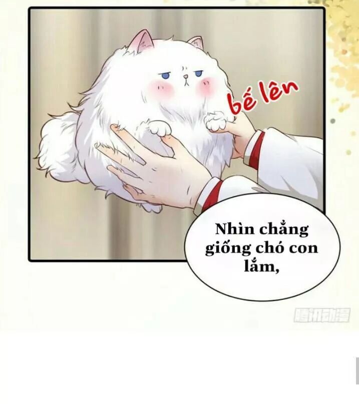 đọc truyện Tuyệt Sắc Quyến Rũ: Quỷ Y Chí Tôn Chương 138.1 ảnh 24 tại Thiên Thai Truyện