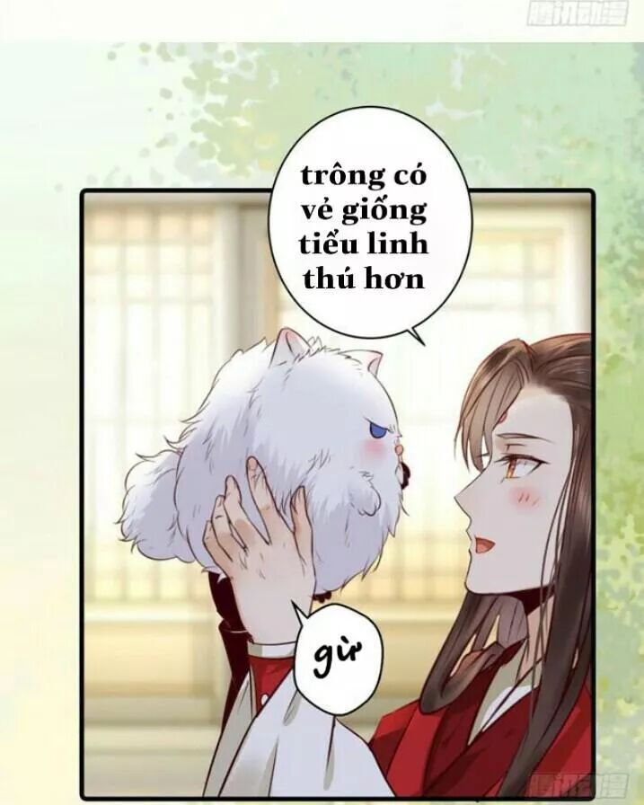 đọc truyện Tuyệt Sắc Quyến Rũ: Quỷ Y Chí Tôn Chương 138.1 ảnh 25 tại Thiên Thai Truyện