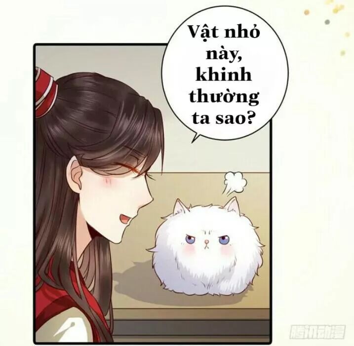 đọc truyện Tuyệt Sắc Quyến Rũ: Quỷ Y Chí Tôn Chương 138.1 ảnh 27 tại Thiên Thai Truyện