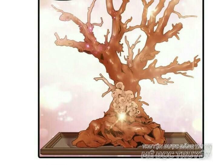 đọc truyện Tuyệt Sắc Quyến Rũ: Quỷ Y Chí Tôn Chương 138 ảnh 13 tại Thiên Thai Truyện