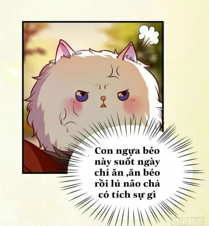 đọc truyện Tuyệt Sắc Quyến Rũ: Quỷ Y Chí Tôn Chương 140.1 ảnh 22 tại Thiên Thai Truyện