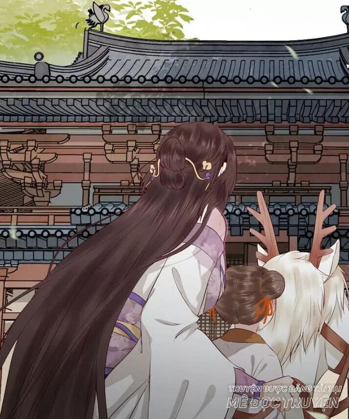 đọc truyện Tuyệt Sắc Quyến Rũ: Quỷ Y Chí Tôn Chương 145.1 ảnh 13 tại Thiên Thai Truyện