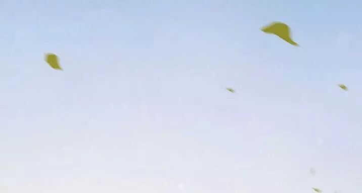 đọc truyện Tuyệt Sắc Quyến Rũ: Quỷ Y Chí Tôn Chương 145.1 ảnh 22 tại Thiên Thai Truyện