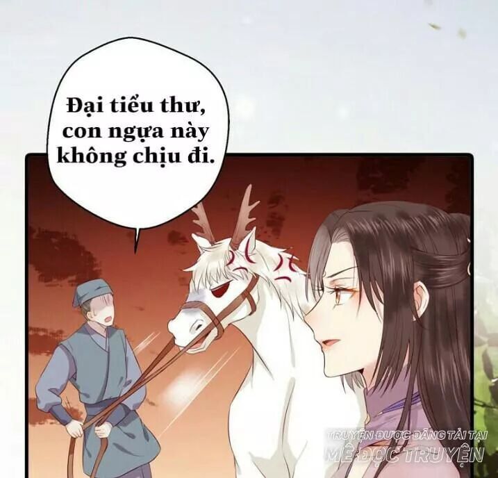 đọc truyện Tuyệt Sắc Quyến Rũ: Quỷ Y Chí Tôn Chương 145.1 ảnh 23 tại Thiên Thai Truyện