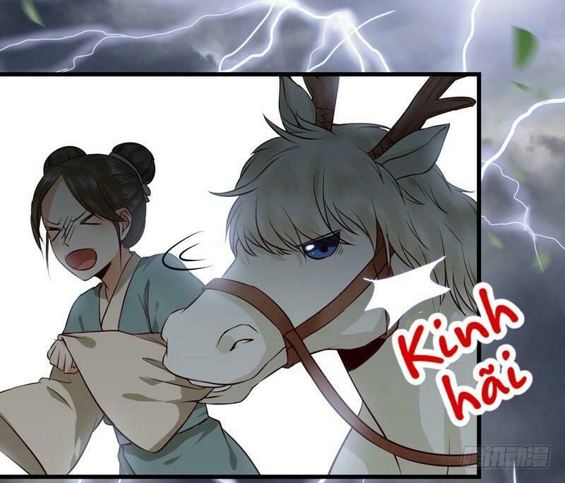 đọc truyện Tuyệt Sắc Quyến Rũ: Quỷ Y Chí Tôn Chương 149 ảnh 51 tại Thiên Thai Truyện