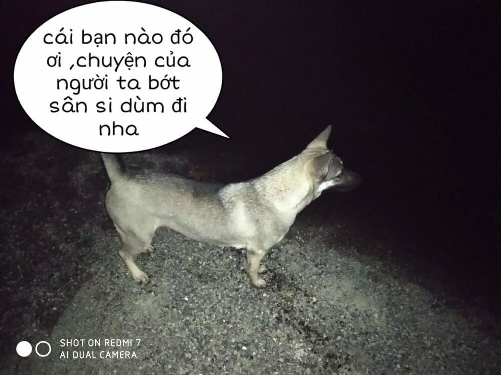 đọc truyện Tuyệt Sắc Quyến Rũ: Quỷ Y Chí Tôn Chương 152 ảnh 34 tại Thiên Thai Truyện