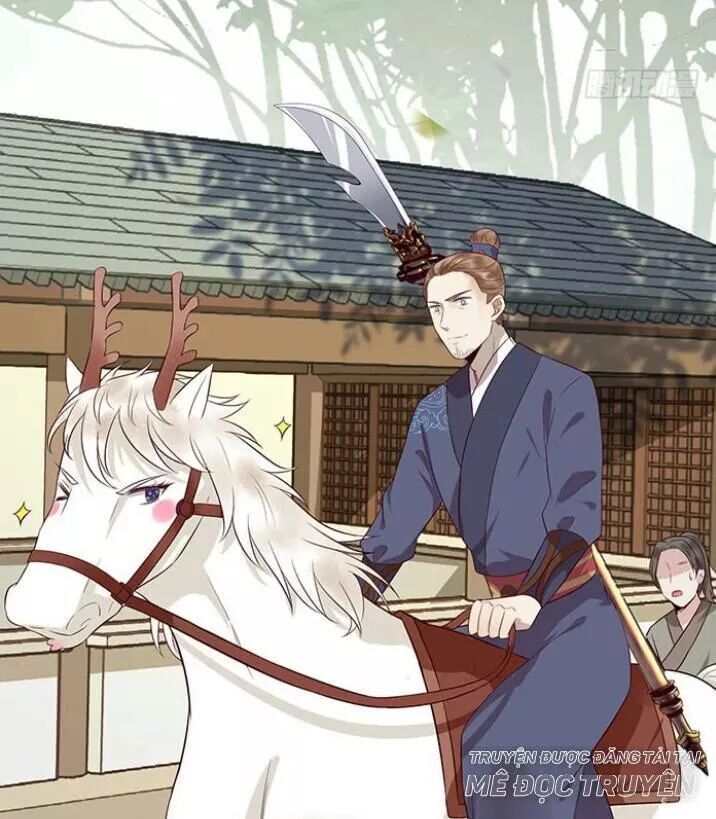 đọc truyện Tuyệt Sắc Quyến Rũ: Quỷ Y Chí Tôn Chương 154 ảnh 43 tại Thiên Thai Truyện