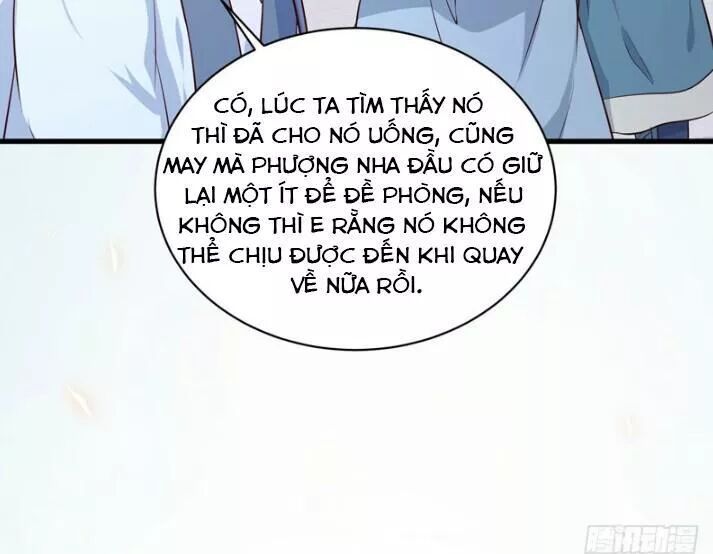 đọc truyện Tuyệt Sắc Quyến Rũ: Quỷ Y Chí Tôn Chương 157 ảnh 31 tại Thiên Thai Truyện