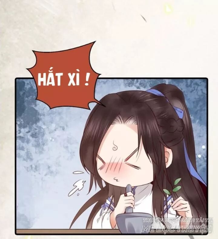 đọc truyện Tuyệt Sắc Quyến Rũ: Quỷ Y Chí Tôn Chương 162 ảnh 43 tại Thiên Thai Truyện