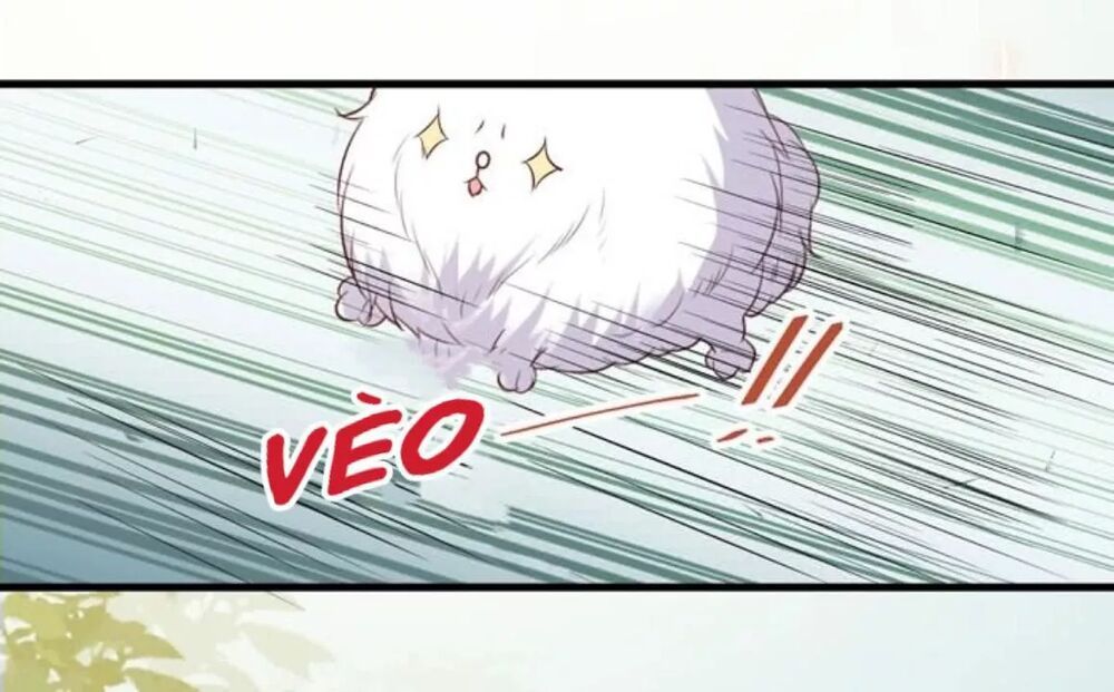 đọc truyện Tuyệt Sắc Quyến Rũ: Quỷ Y Chí Tôn Chương 163 ảnh 40 tại Thiên Thai Truyện