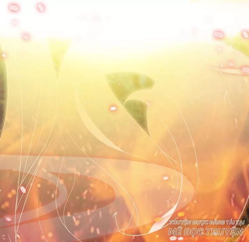 đọc truyện Tuyệt Sắc Quyến Rũ: Quỷ Y Chí Tôn Chương 169 ảnh 38 tại Thiên Thai Truyện