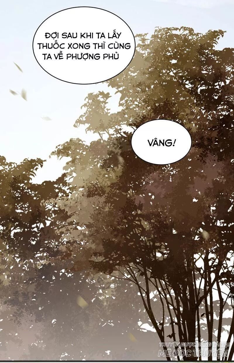 đọc truyện Tuyệt Sắc Quyến Rũ: Quỷ Y Chí Tôn Chương 170 ảnh 39 tại Thiên Thai Truyện