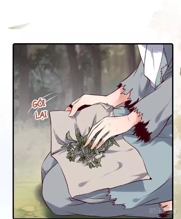 đọc truyện Tuyệt Sắc Quyến Rũ: Quỷ Y Chí Tôn Chương 171 ảnh 19 tại Thiên Thai Truyện