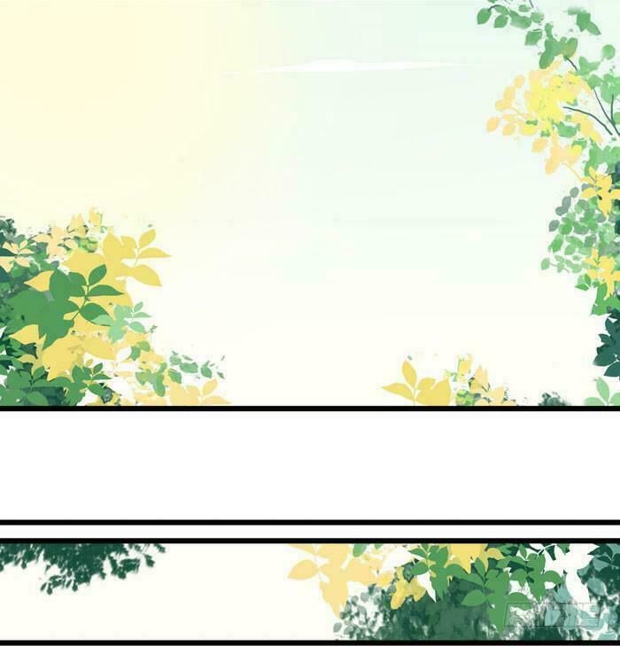 đọc truyện Tuyệt Sắc Quyến Rũ: Quỷ Y Chí Tôn Chương 2 ảnh 26 tại Thiên Thai Truyện