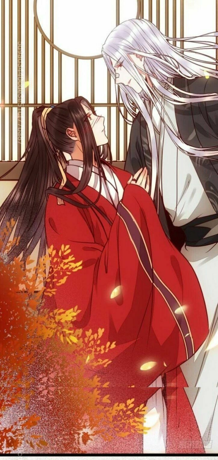 đọc truyện Tuyệt Sắc Quyến Rũ: Quỷ Y Chí Tôn Chương 211 ảnh 17 tại Thiên Thai Truyện