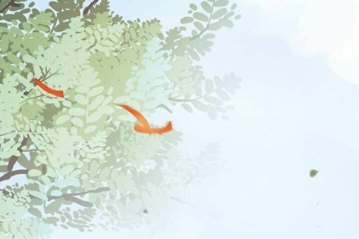 đọc truyện Tuyệt Sắc Quyến Rũ: Quỷ Y Chí Tôn Chương 221 ảnh 3 tại Thiên Thai Truyện