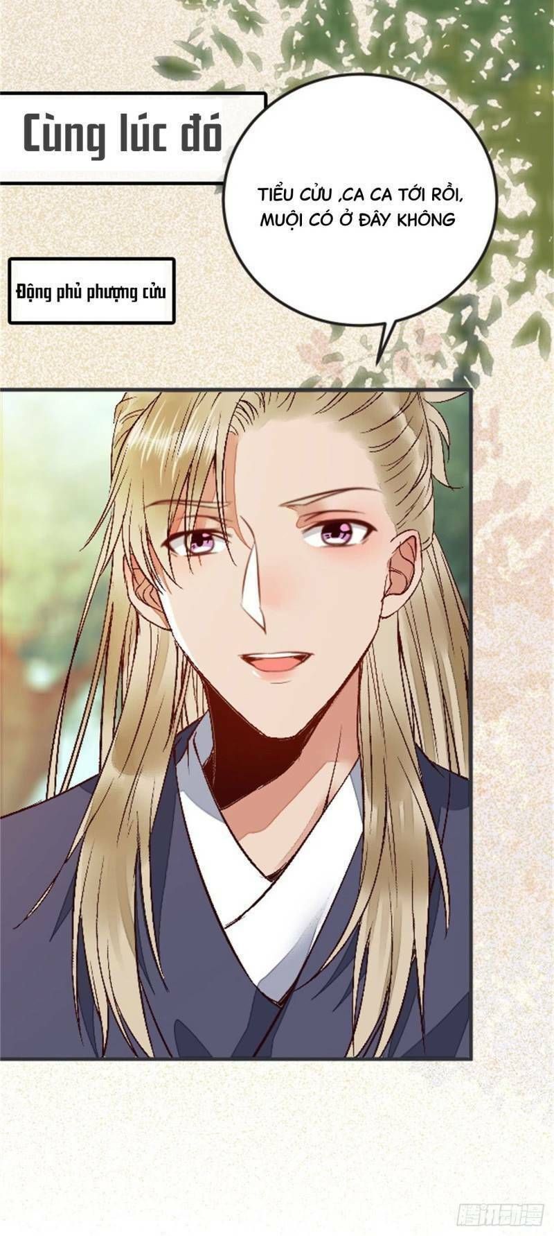 đọc truyện Tuyệt Sắc Quyến Rũ: Quỷ Y Chí Tôn Chương 239 ảnh 41 tại Thiên Thai Truyện