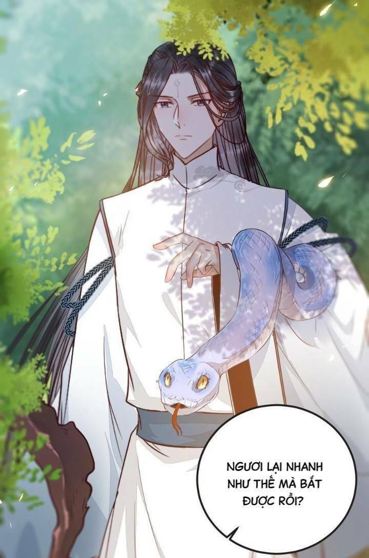 đọc truyện Tuyệt Sắc Quyến Rũ: Quỷ Y Chí Tôn Chương 243 ảnh 41 tại Thiên Thai Truyện