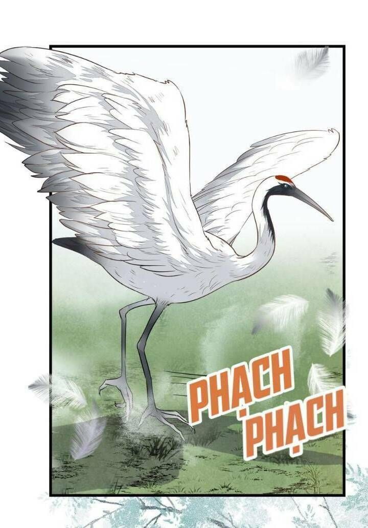 đọc truyện Tuyệt Sắc Quyến Rũ: Quỷ Y Chí Tôn Chương 251 ảnh 19 tại Thiên Thai Truyện