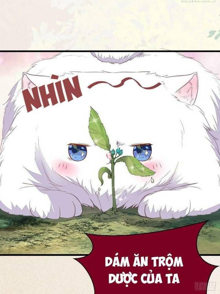 đọc truyện Tuyệt Sắc Quyến Rũ: Quỷ Y Chí Tôn Chương 253 ảnh 26 tại Thiên Thai Truyện