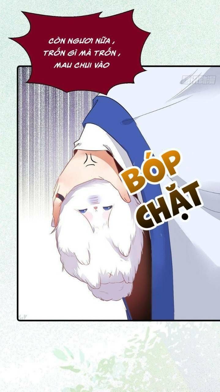 đọc truyện Tuyệt Sắc Quyến Rũ: Quỷ Y Chí Tôn Chương 260 ảnh 18 tại Thiên Thai Truyện