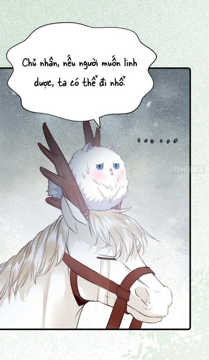 đọc truyện Tuyệt Sắc Quyến Rũ: Quỷ Y Chí Tôn Chương 260 ảnh 25 tại Thiên Thai Truyện