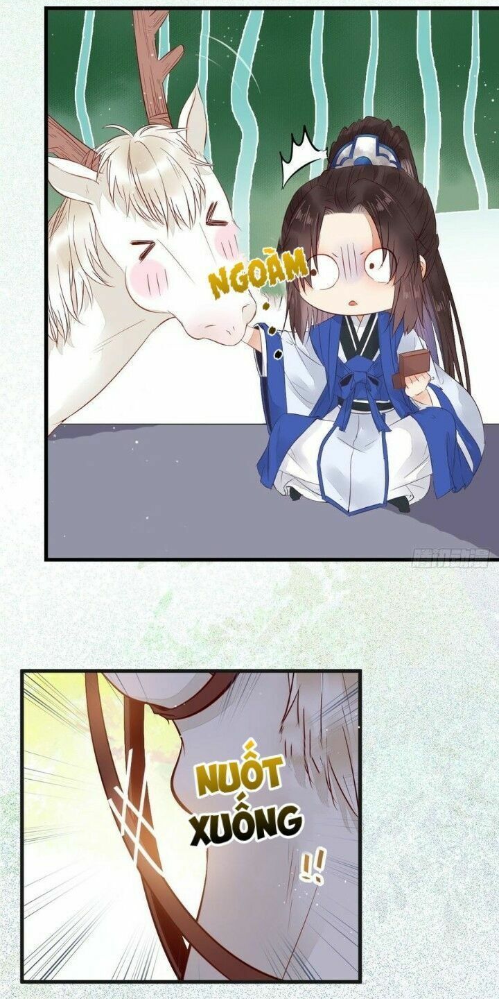 đọc truyện Tuyệt Sắc Quyến Rũ: Quỷ Y Chí Tôn Chương 262 ảnh 29 tại Thiên Thai Truyện