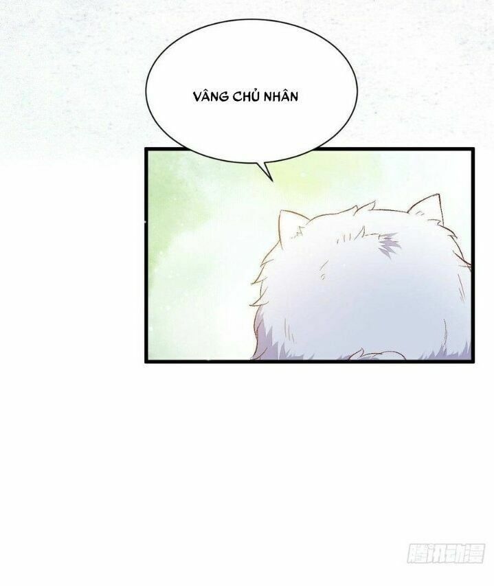 đọc truyện Tuyệt Sắc Quyến Rũ: Quỷ Y Chí Tôn Chương 263 ảnh 13 tại Thiên Thai Truyện