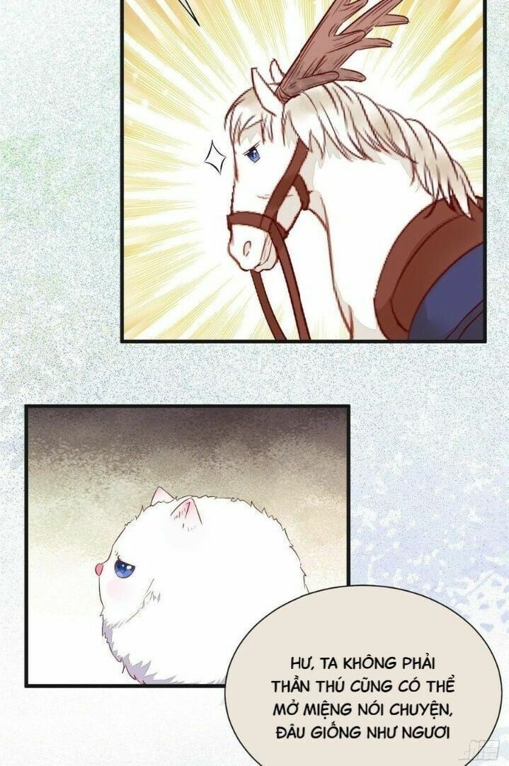 đọc truyện Tuyệt Sắc Quyến Rũ: Quỷ Y Chí Tôn Chương 263 ảnh 17 tại Thiên Thai Truyện