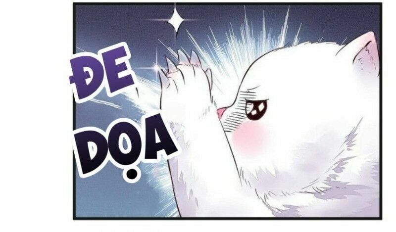 đọc truyện Tuyệt Sắc Quyến Rũ: Quỷ Y Chí Tôn Chương 263 ảnh 20 tại Thiên Thai Truyện