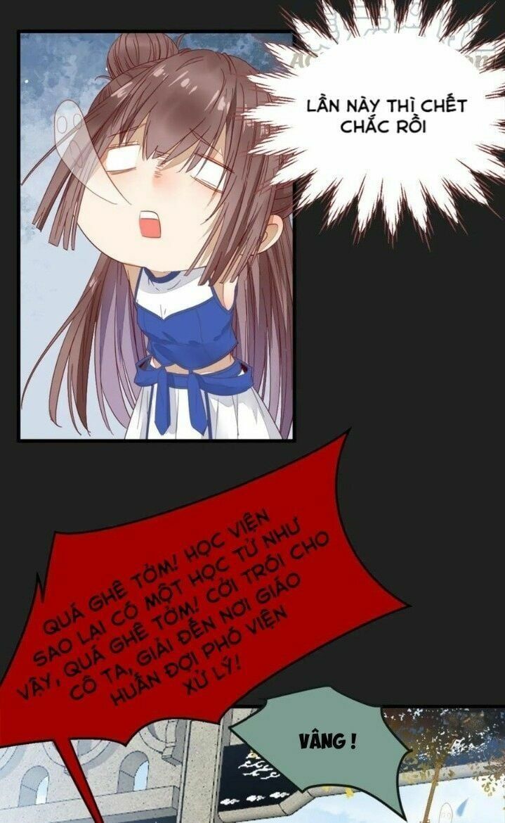 đọc truyện Tuyệt Sắc Quyến Rũ: Quỷ Y Chí Tôn Chương 264 ảnh 23 tại Thiên Thai Truyện