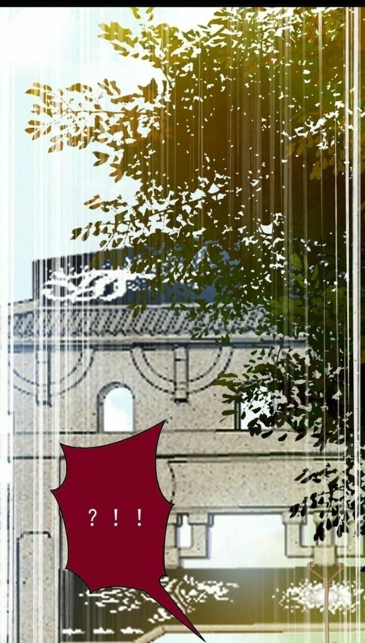 đọc truyện Tuyệt Sắc Quyến Rũ: Quỷ Y Chí Tôn Chương 264 ảnh 8 tại Thiên Thai Truyện