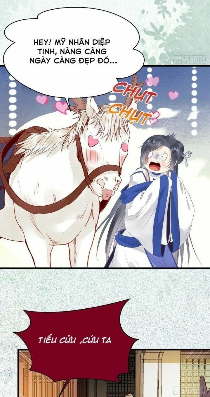 đọc truyện Tuyệt Sắc Quyến Rũ: Quỷ Y Chí Tôn Chương 265 ảnh 24 tại Thiên Thai Truyện