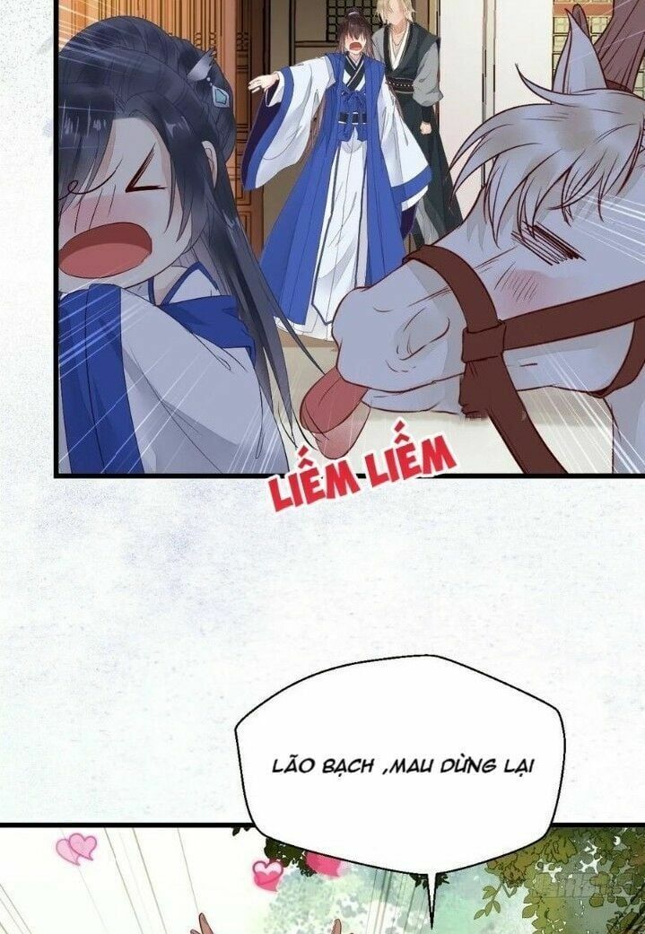 đọc truyện Tuyệt Sắc Quyến Rũ: Quỷ Y Chí Tôn Chương 265 ảnh 25 tại Thiên Thai Truyện