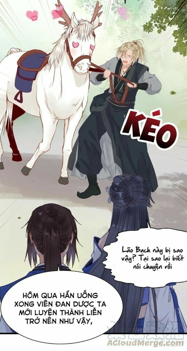 đọc truyện Tuyệt Sắc Quyến Rũ: Quỷ Y Chí Tôn Chương 265 ảnh 26 tại Thiên Thai Truyện